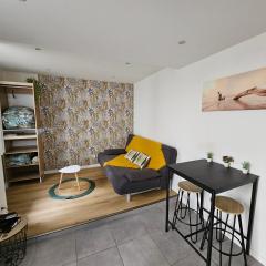 Le Castetnau - securise - Proche Halles de Pau