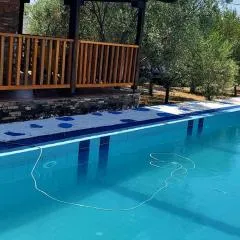 Luxury Pool Villa