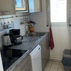 Appartement T2 vue Mer, moderne, clim 3 etoiles Parking 4PLMER53