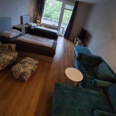 Nice 2 Room Apartment - central / VW Werk