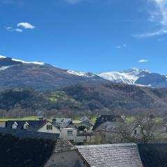 Grand appartement vue montagne