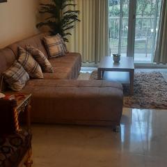 الشيخ زايد في القاهرة