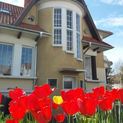 Villa Zouzou Bed and Breakfast