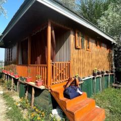 Flora Cottage , Srinagar