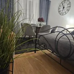 Apartament Diselvio