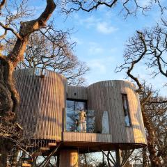 The Treehouse Caerlaverock - Uk45028