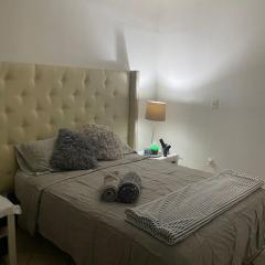 Loft Coyoacan