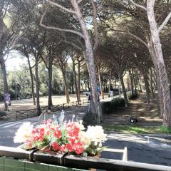 Appartamento ALICE a Marina di Cecina by Zoom In Earth