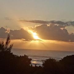 Utopia in Palm Beach