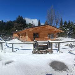 Andalo Chalet