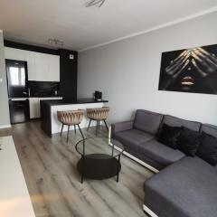 Apartament Londyńska 11