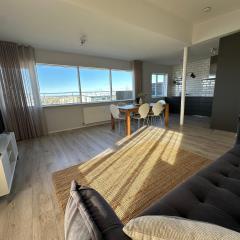 Apartment Goðheimar in Reykjavik - Birta Rentals