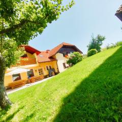 Apartments Organic Tourist Farm Gradišnik