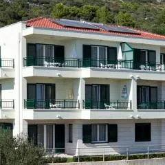 Apartments by the sea Igrane, Makarska - 17292