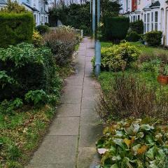 Delightful, Secluded, Victorian home near City Centre