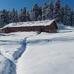 Roseland Cottage , Gulmarg