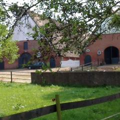 Ferienwohnung unterm Reetdach