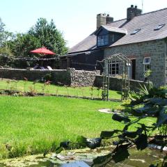 Brynifor Llangrannog