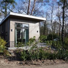 Tiny house with a decorative fireplace near the Veluwe