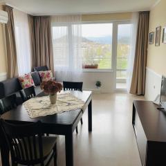 RIVERSIDE APARTMENTS PLOVDIV 1 with free parking