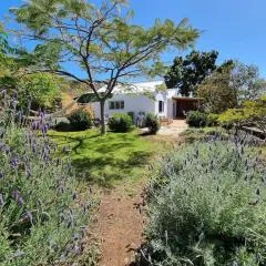 Casa Aram lapalmahouse