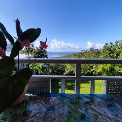 Bungalow with sea view in Deshaies