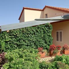 Apartments by the sea Sali, Dugi otok - 8117