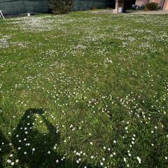 Villa Gianfranca - sentiti come a casa