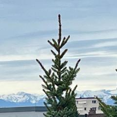 Ferienwohnung SeeLiebe