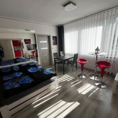 MONFas APARTMENT BARRANDOV