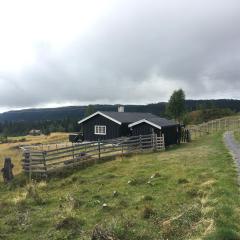 Einkjerrbu cabin by Norgesbooking -