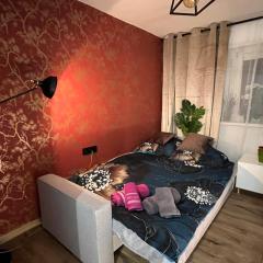 Kameralna kawalerka w stylu loftu blisko centrum