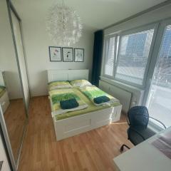 Park View City Center Location Apartment with Balcony