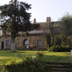 Tenuta Campospillo