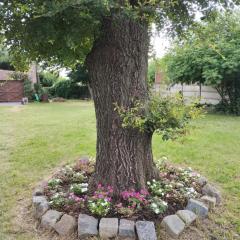 La casa del Calvario