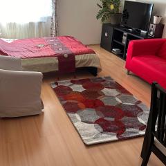 Cozy Apartment in District 8