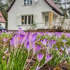 Ferienhaus am weißen Adler