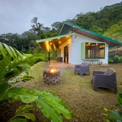 Eternal Rain Forest House