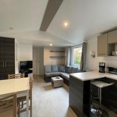 Superb Mobilhome Ba302 - 3 bedrooms Siblu Bonne Anse La Palmyre