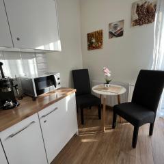 Apartamenty Kielce- Apartament Zacisze przy Baseny Tropikalne, Kadzielnia, parking, faktura,centrum