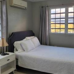 Coamo Beautiful house, AC, 10min Coamo hot springs
