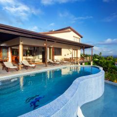 Gone Tropical Luxury Villa