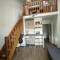 2 pièces duplex Issy Les Moulineaux Ascenseur internet