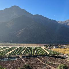 Elqui Valley Avocado Farm