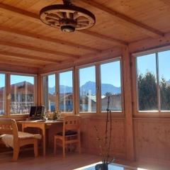 Holiday apartment Edelweiss