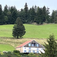 Maison d'Hôtes des Hauts de la Piquante Pierre