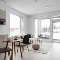 LadyCrane apartment, sauna and parking