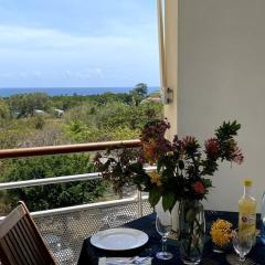 Appartement - Vue mer et montagne