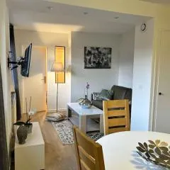 Appartement 3 chambres vue sur Annecy dans maison avec climatisation
