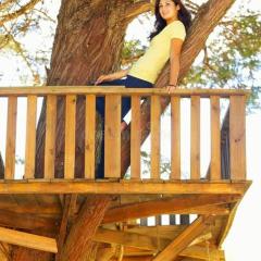 Tree House 4 Nature Lovers